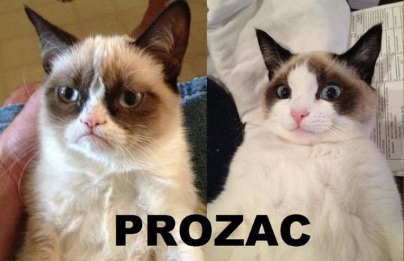 funny-pictures-464