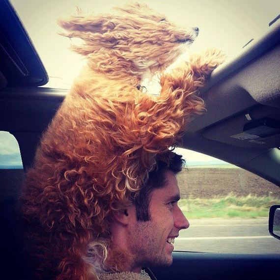 funny-pictures-465
