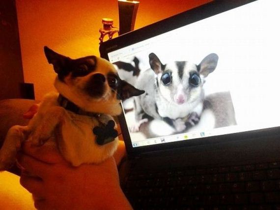 funny-pictures-465