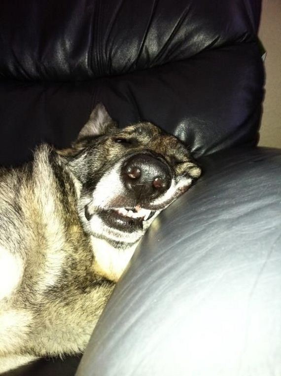 funny-pictures-465