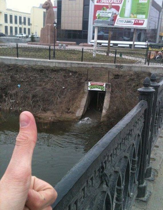funny-pictures-465