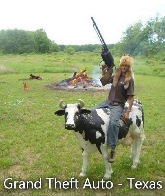 funny-pictures-467