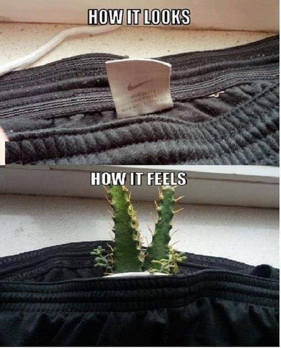 funny-pictures-467