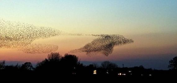 funny-pictures-467
