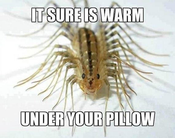 funny-pictures-467