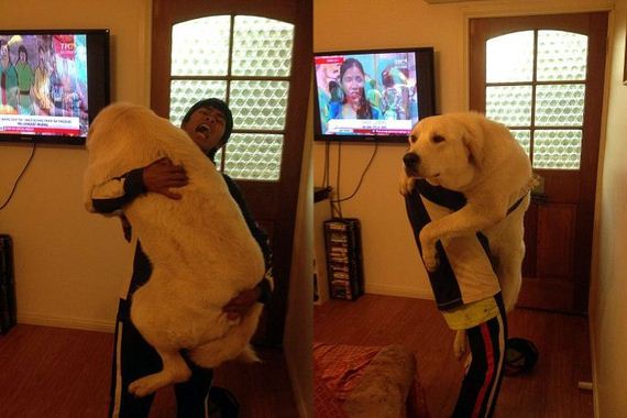 funny-pictures-467
