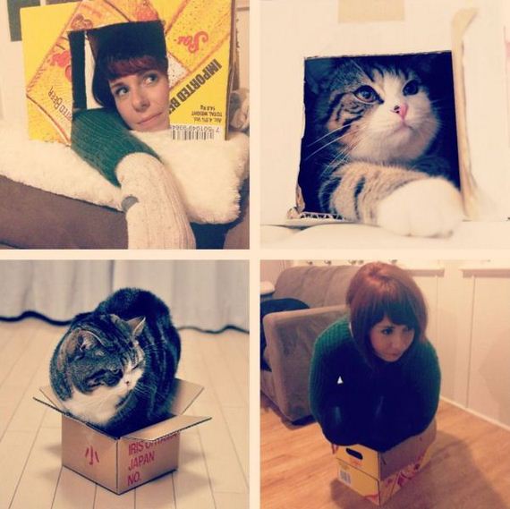 funny-pictures-467