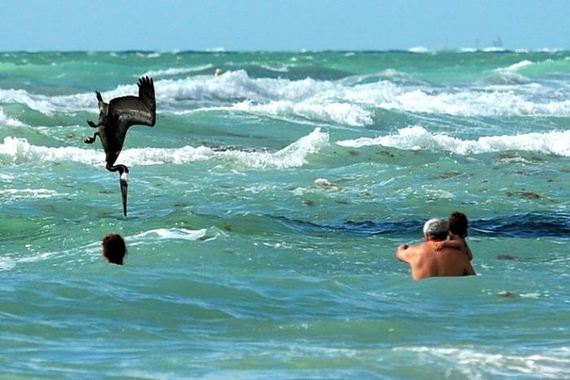 funny-pictures-468