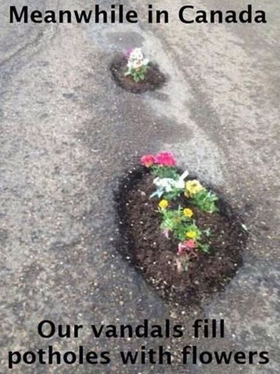 funny-pictures-468