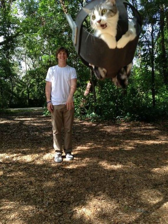 funny-pictures-468