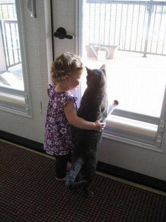 funny-pictures-468