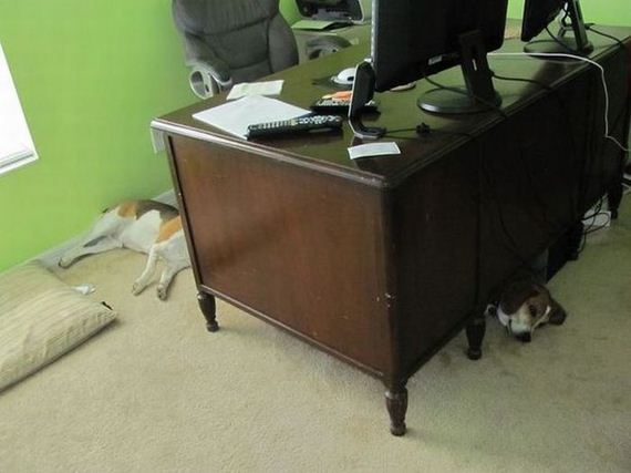 funny-pictures-468