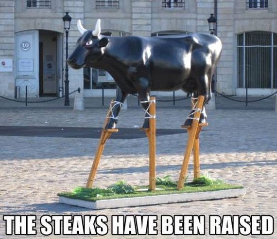 funny-pictures-469