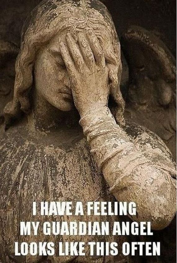 funny-pictures-469