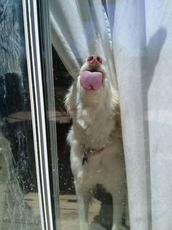 funny-pictures-469