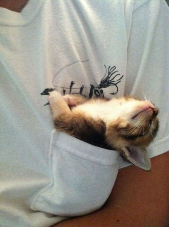 funny-pictures-469