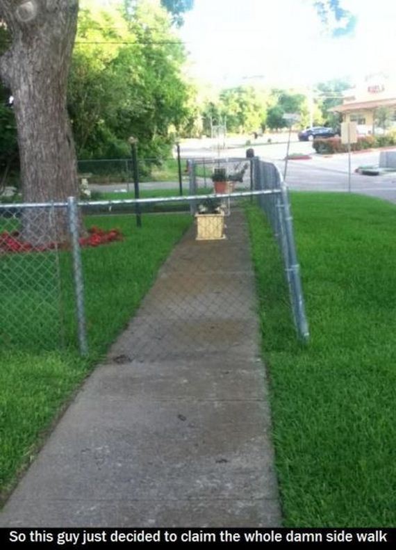 funny-pictures-469