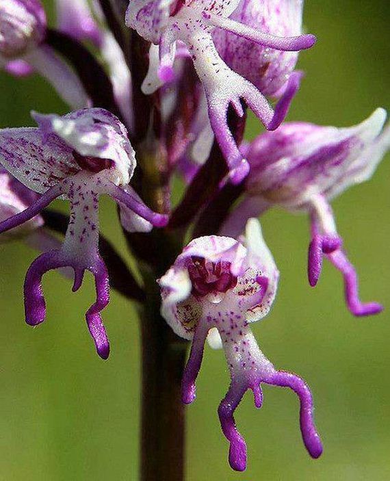 funny-pictures-470
