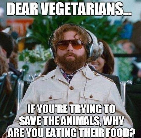funny-pictures-470