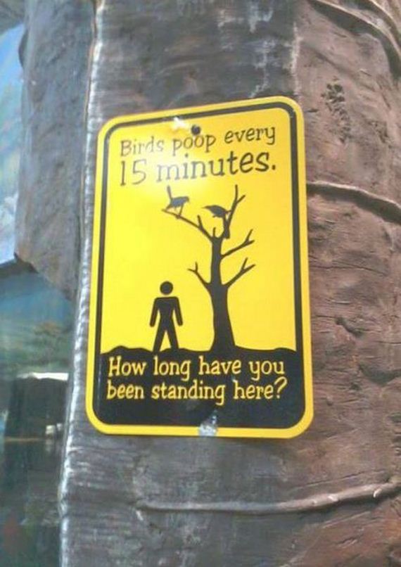 funny-pictures-470