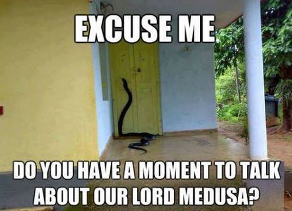funny-pictures-471