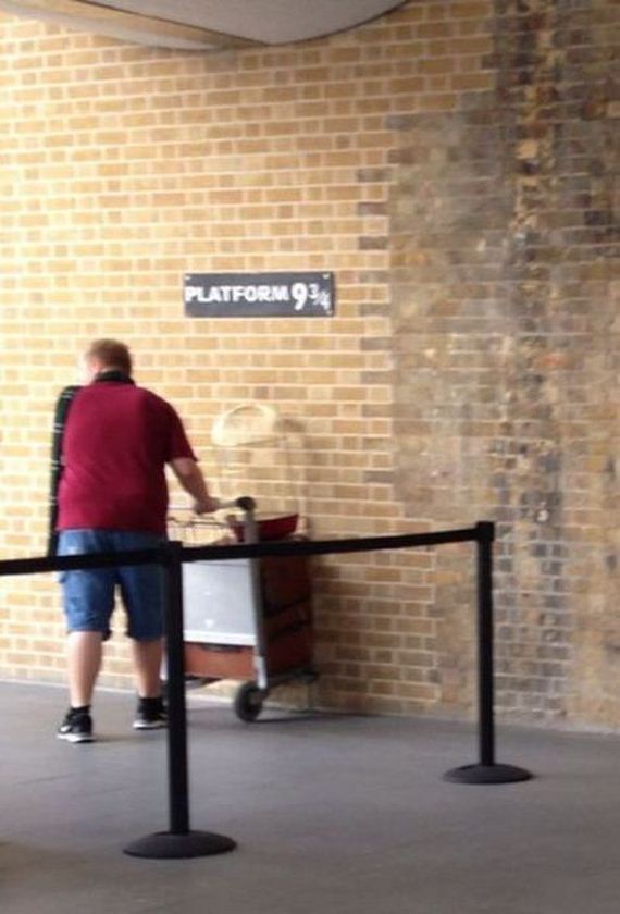 funny-pictures-472