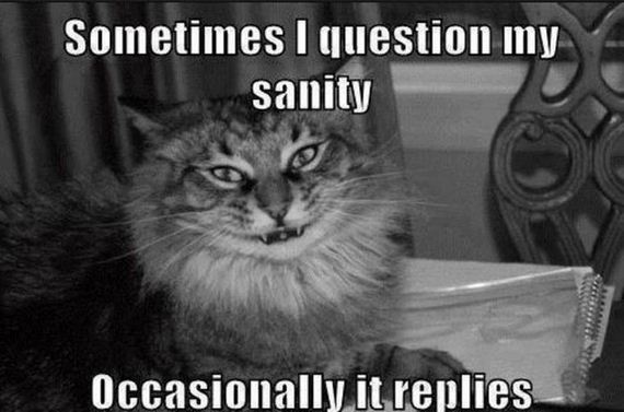 funny-pictures-472