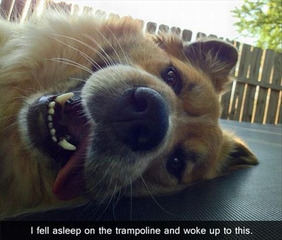 funny-pictures-472