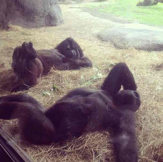funny-pictures-472