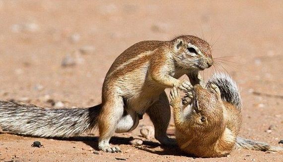 funny-pictures-472