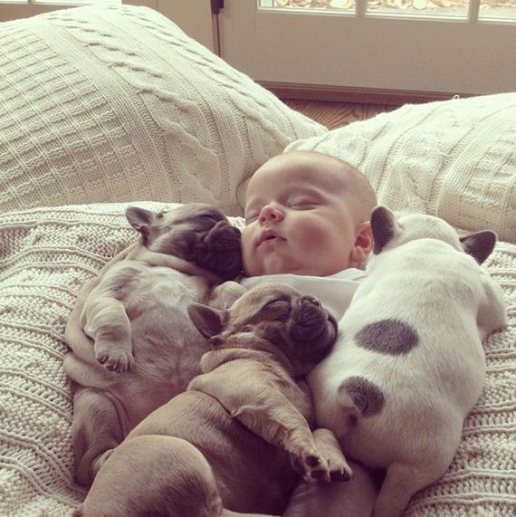 funny-pictures-472