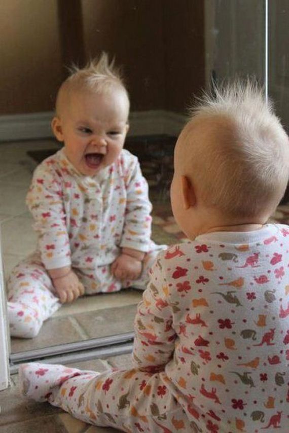 funny-pictures-472