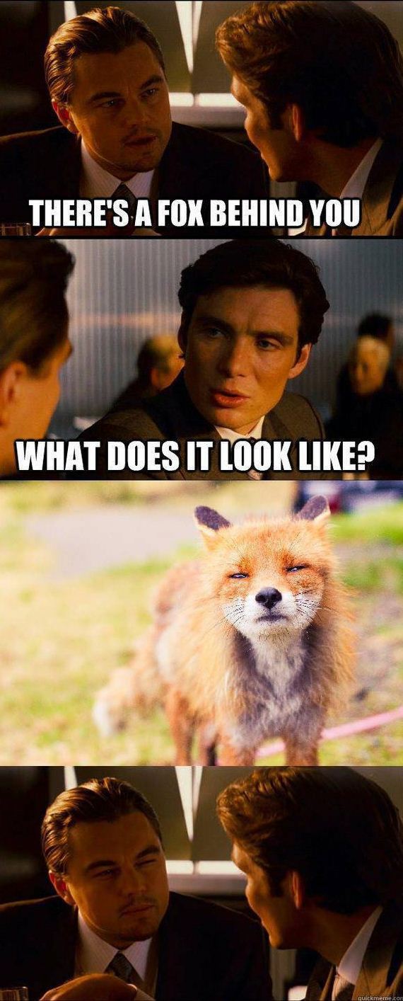 funny-pictures-474