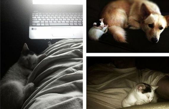 funny-pictures-474