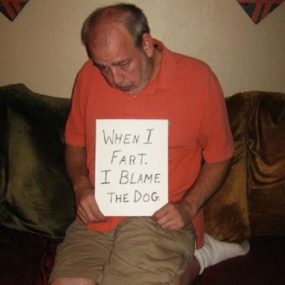 funny-pictures-474