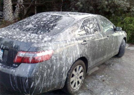 funny-pictures-475