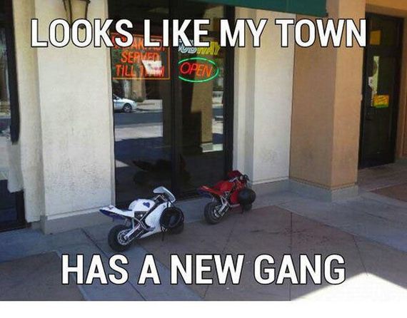 funny-pictures-475