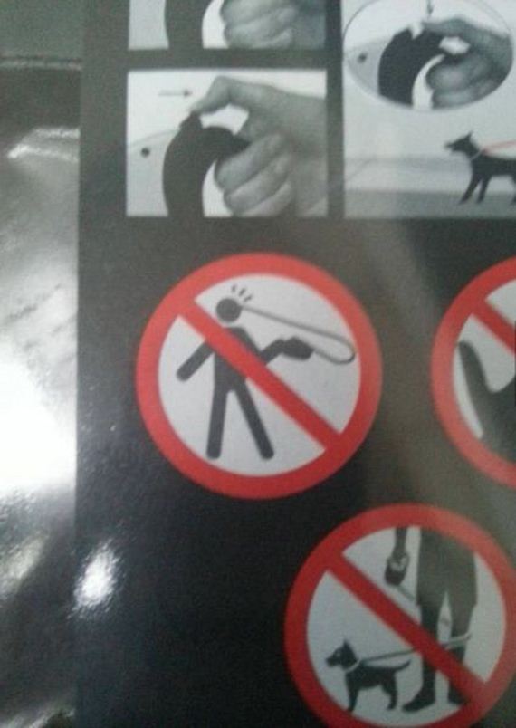 funny-pictures-475