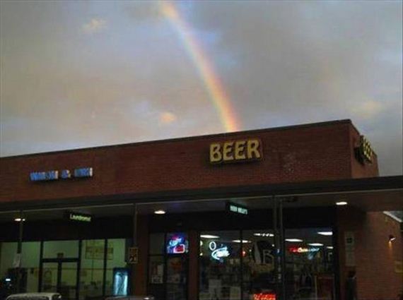 funny-pictures-475