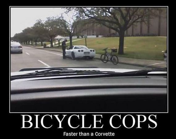 funny-pictures-475