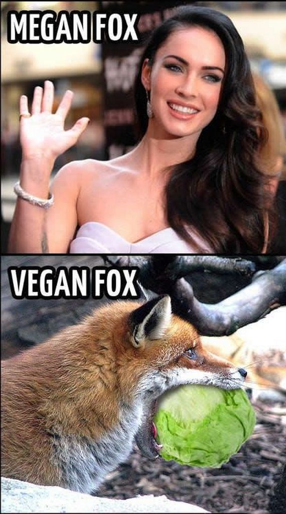funny-pictures-475