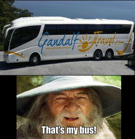 funny-pictures-475