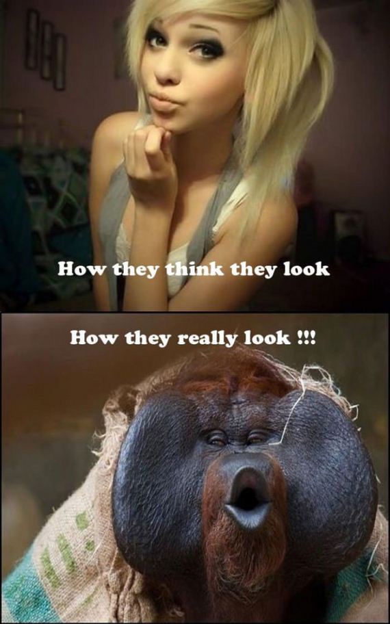 funny-pictures-475