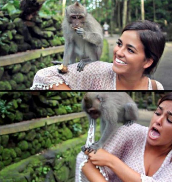 funny-pictures-475
