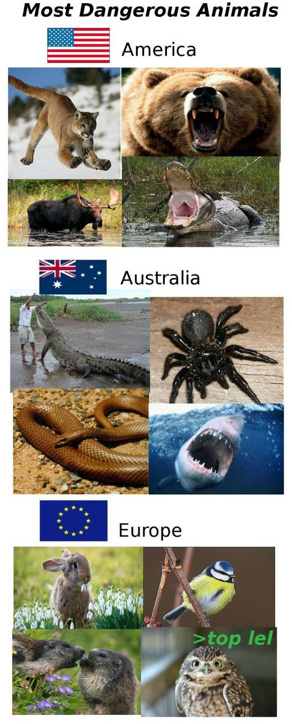 funny-pictures-476