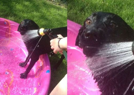 funny-pictures-476