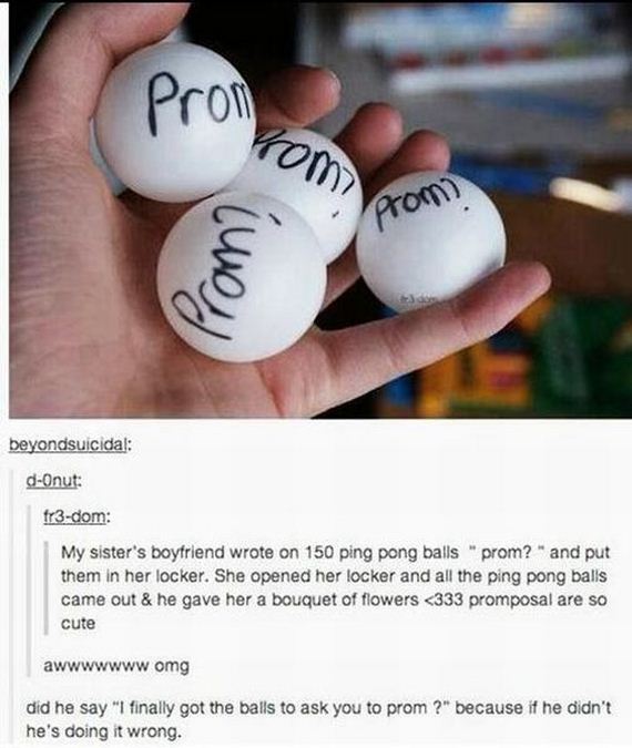 funny-pictures-476