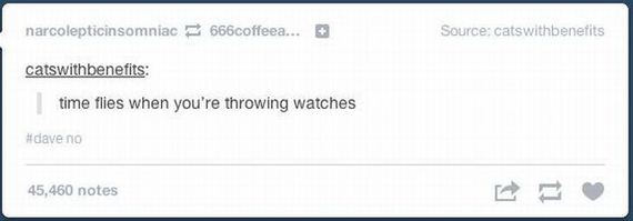 funny-pictures-476