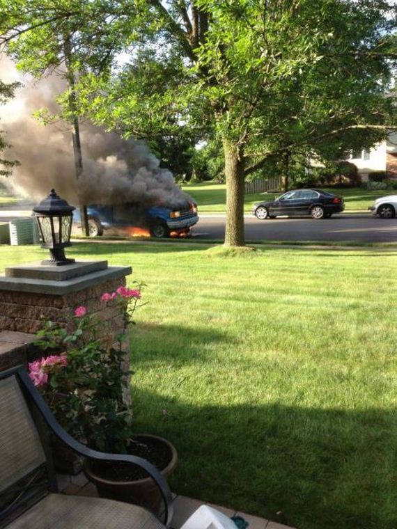 funny-pictures-476