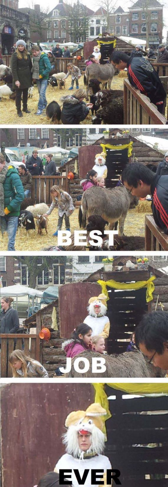 funny-pictures-477